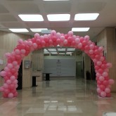 Breast Cancer Arch Balloon